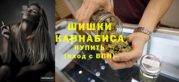 гидра Лагань
