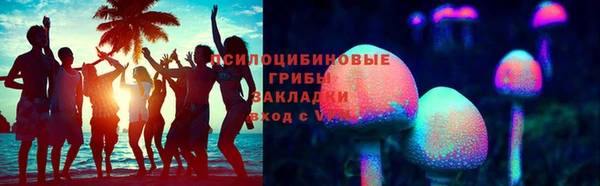 гидра Лагань