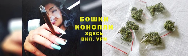 гидра Лагань