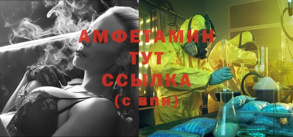 гидра Лагань