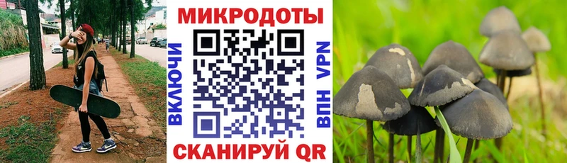 Галлюциногенные грибы Cubensis  Купить где  Монино 